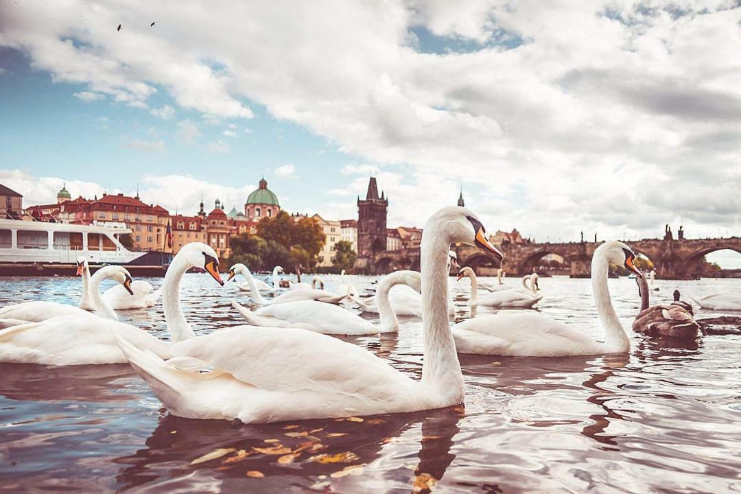 Quiet Apartment With Balcony Charles Bridge Prague Luaran gambar